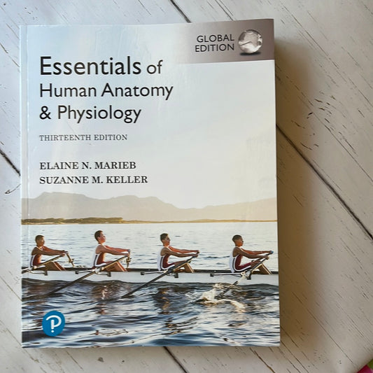 Essentials of Human Anatomy & Physiology Thirteenth Edition