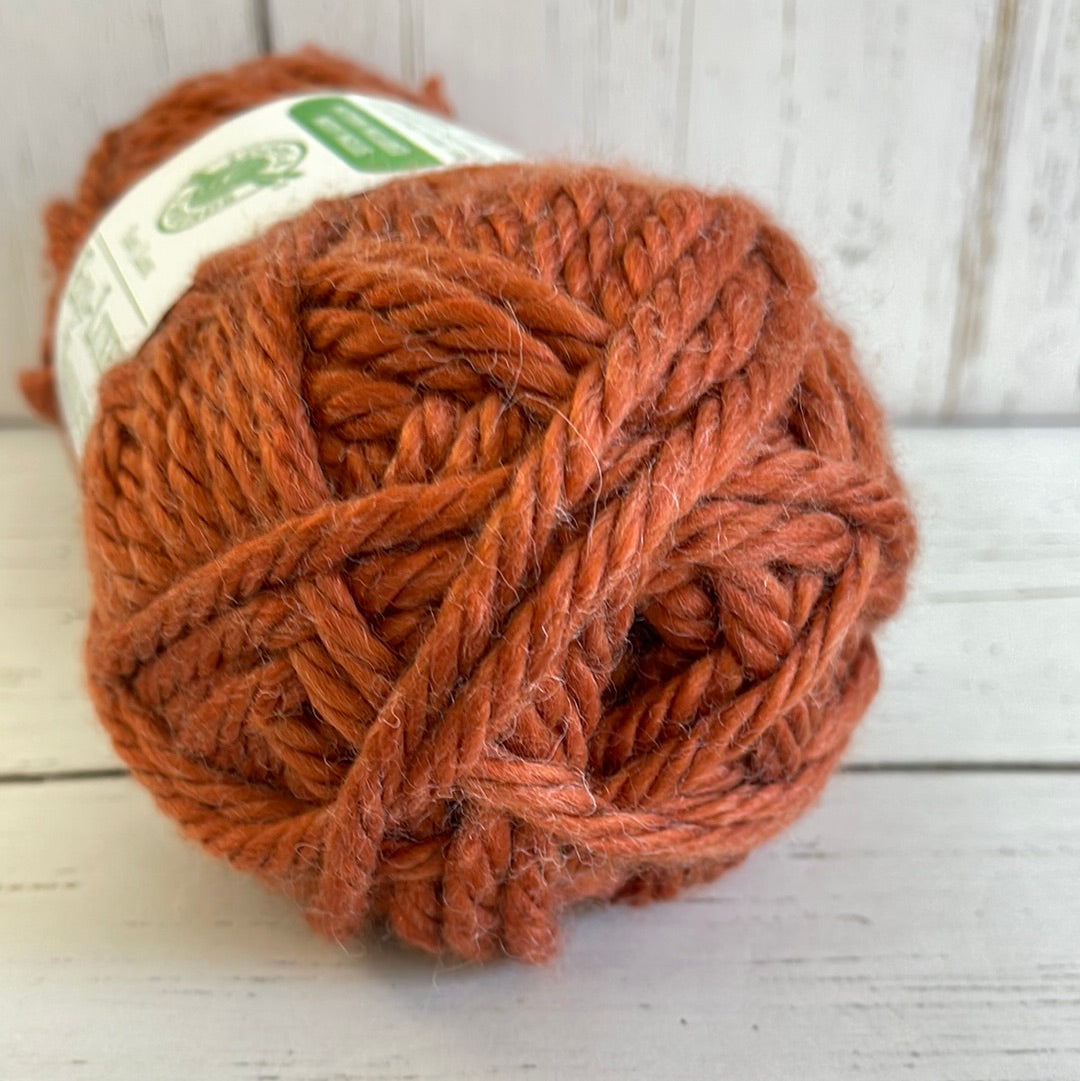 ECO-LUXE Yarn ~ Burnt Orange