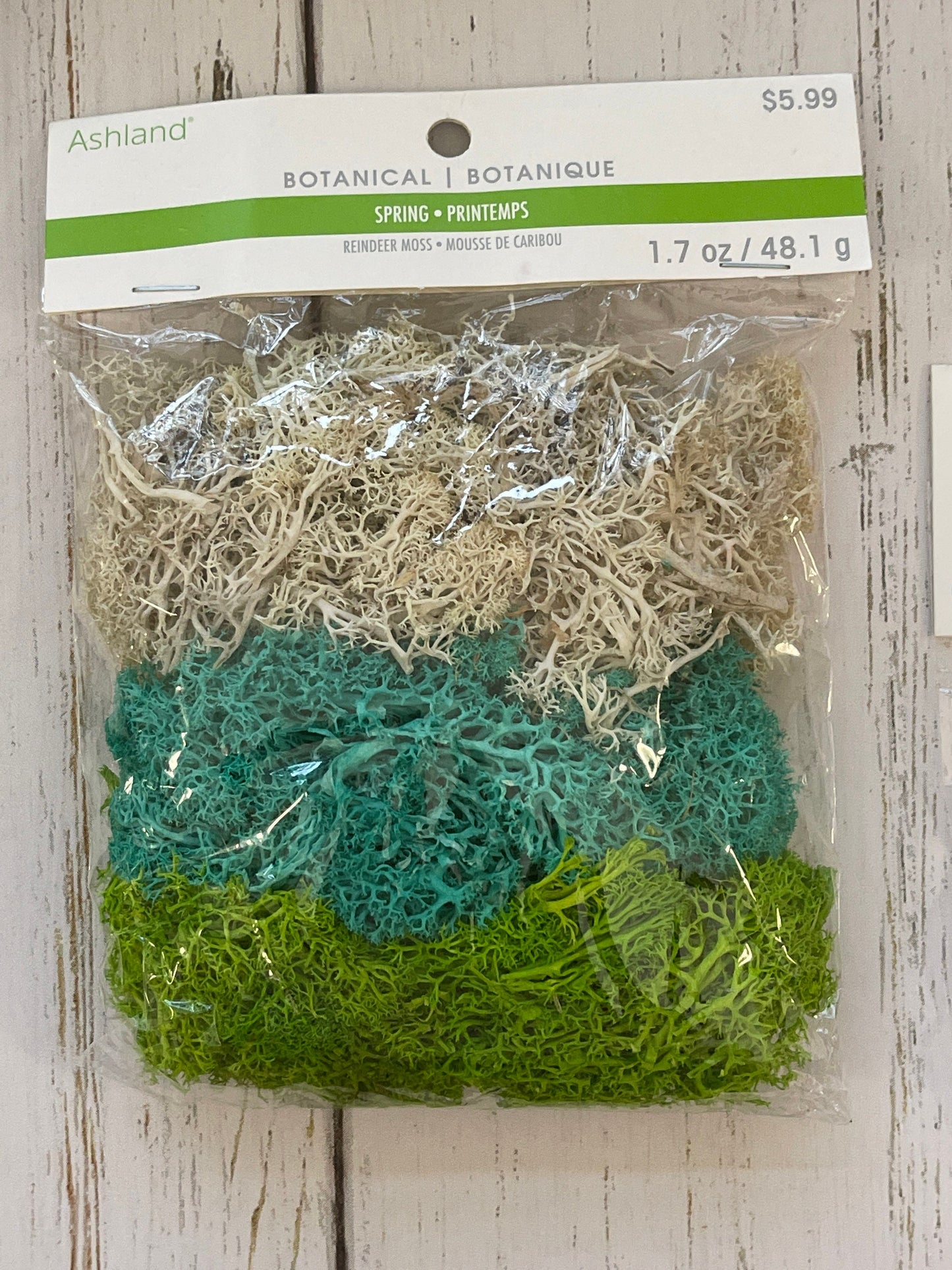 LOT OF 17 ~ Botanical ~ Reindeer Moss ~ Plus Floral Tape